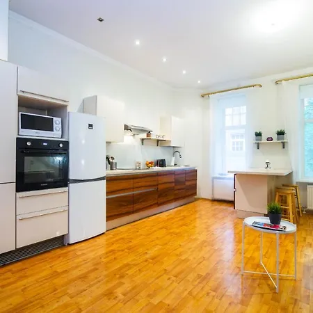 Spacious In The Center Of Apartment